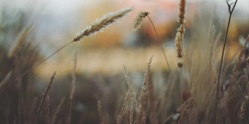 深圳国泰46：揭秘SMT贴片如何塑造现代电子产品的核心竞争力