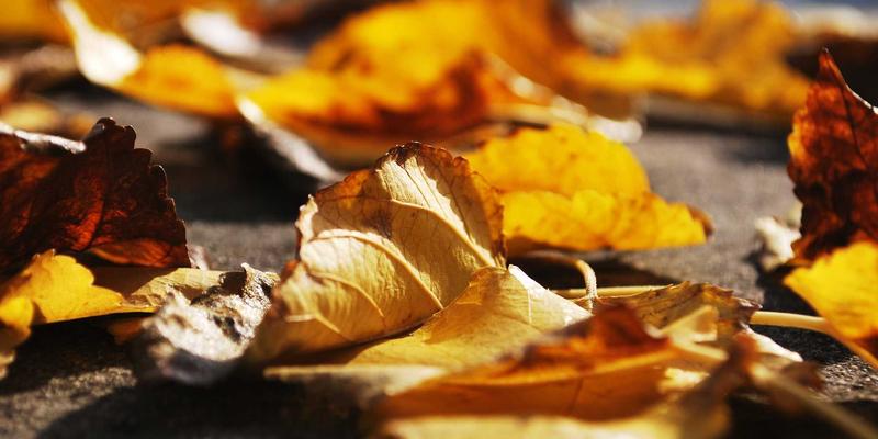 深圳国泰航空与国泰港龙航空整合:对IC芯片与电子元器件供应链的深远影响